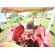 Tractor International  824-S -  Tractores agrícolas