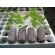 Jiffy Pellet -  Sustrato para Plantas