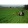 Segadoras de discos / Guadañadora -  Cosechadoras Cultivadoras Segadoras