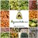 Línea Fruver -  Productos empacados