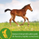 GROW COLT -  Alimento y Snacks para Caballos