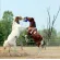 JOLLY BALL 10" JUGUETE PARA CABALLOS -  Accesorios para caballistas