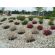 Cubiertas Verdes y Cubiertas Expuestas -  Accesorios para Jardinería