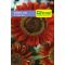 Semilla de Girasol Flor Gigante Roja -  Plantas Ornamentales