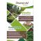 Servicio de Mantenimiento y Diseño de Jardines -  Accesorios para Jardinería